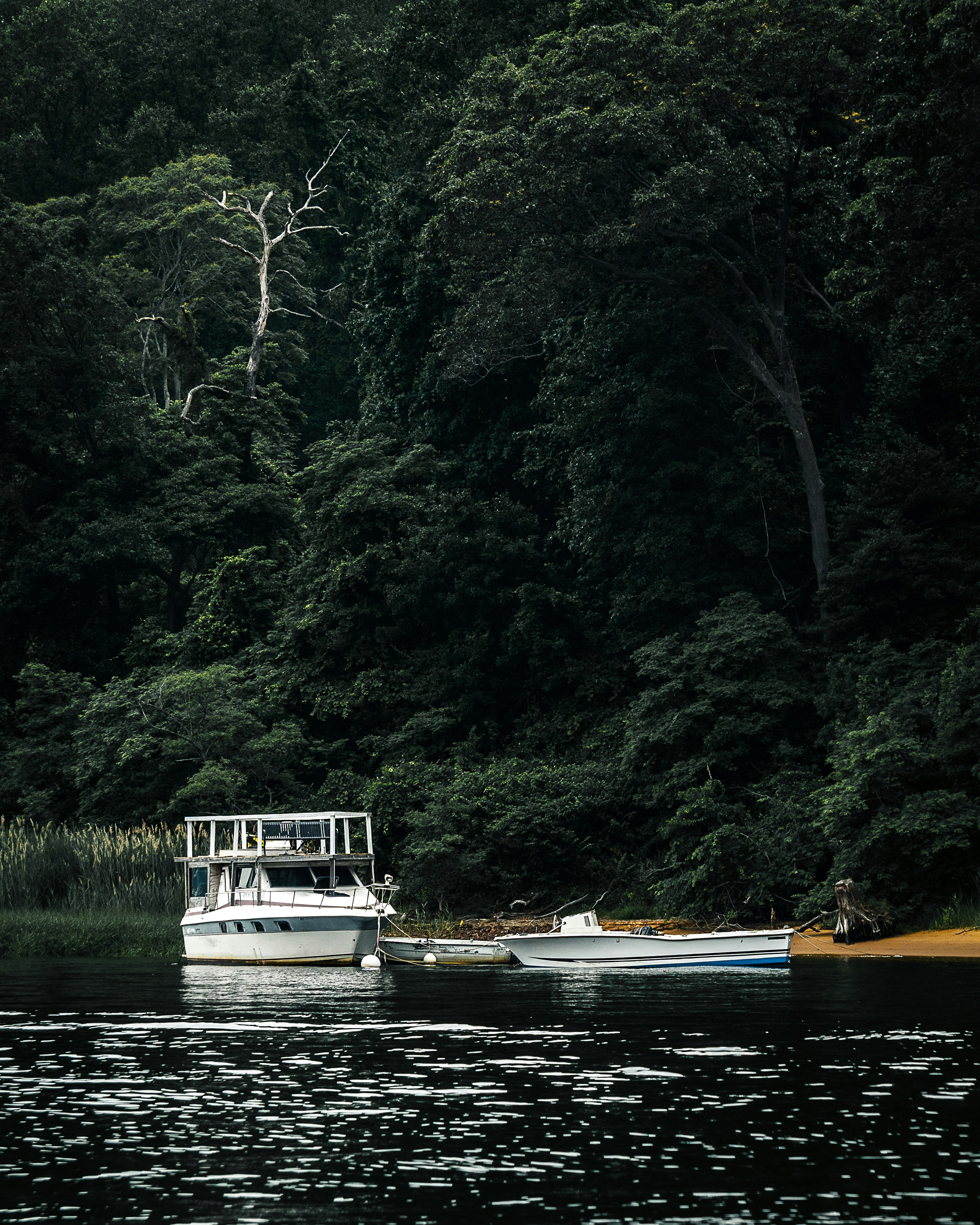 white and brown boat on river during daytime